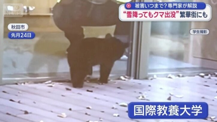 国際教養大学の敷地内