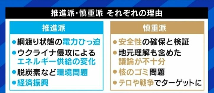 政府、次世代革新炉の開発・建設の検討へ…立憲民主党・吉田議員「再稼働も新増設するべきではないと思う」「再生可能エネルギーしかない」