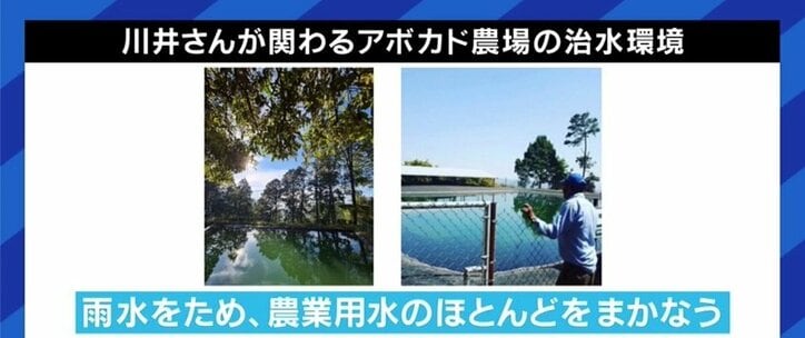 アボカドが自然破壊の遠因に?「人気が高まることで、むしろ環境負荷が減らせる可能性もある」