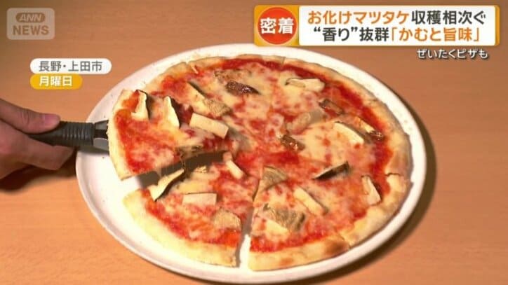 名人のおすすめ