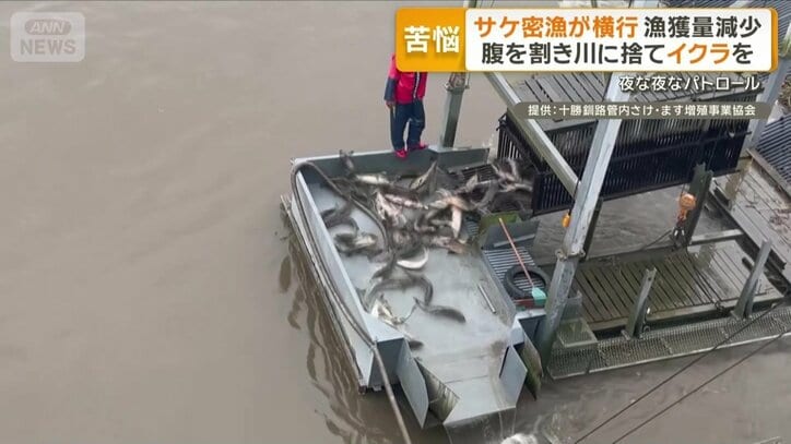 サケの漁獲量が減少