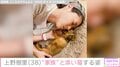 上野樹里、愛犬と添い寝する姿を夫・和田唱が公開「顔似てません？」と話題に