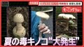 猛暑の影響で異変　夏＆秋の毒キノコが異例の同時発生　食中毒被害も急増
