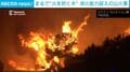まるで木々が炎を吹き出しているかのよう… ヨーロッパを襲う酷暑で山火事が「消火能力を超える規模」へ拡大、6万3000人以上に避難命令の惨状 スペイン
