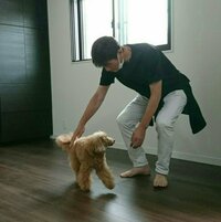 大島康徳『旅立った日のこと』