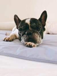 松居直美、更年期が落ち着き準備になっていたなと思うものを明かす