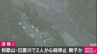 川遊び２人溺れ心肺停止 父子か