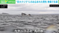 【映像】“巨大クジラ”に飲み込まれた男性