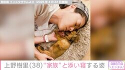 上野樹里、愛犬と添い寝する姿を夫・和田唱が公開「顔似てません？」と話題に