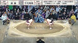 力士の推しタオル掲げた“華やか”舞妓さんの姿に相撲ファンが熱視線「品がある」「素敵だわ」