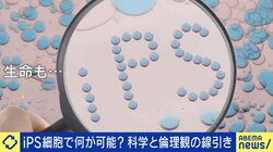 iPS細胞から受精卵？研究者「マウスでは子ども、さらに次の世代も生まれた」男性の細胞から卵子が作れる近未来「人類が違うフェーズに入る」問われる倫理とどう向き合う