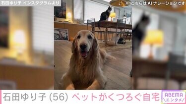 写真・画像】石田ゆり子（56）、ペットがくつろぐ広々とした自宅を公開
