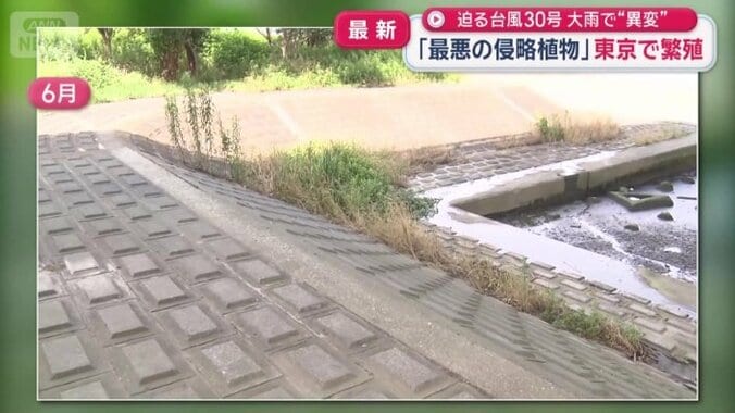 4カ月前の様子
