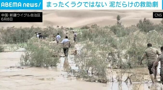 ラクダの救出劇