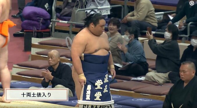 新十両の十両十三枚目・藤凌駕（藤島）