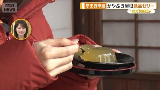 縁側でいただく梅ゼリー