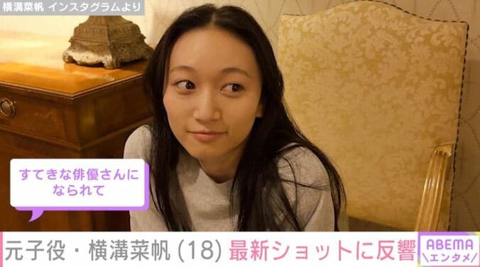 横溝菜帆