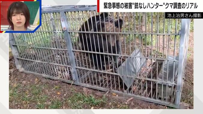 箱わな内で暴れるクマの様子