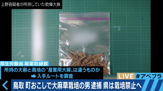 鳥取”大麻で町おこし”キーマンが大麻所持容疑で逮捕　「使い方が間違っている」と農家は憤り 2枚目