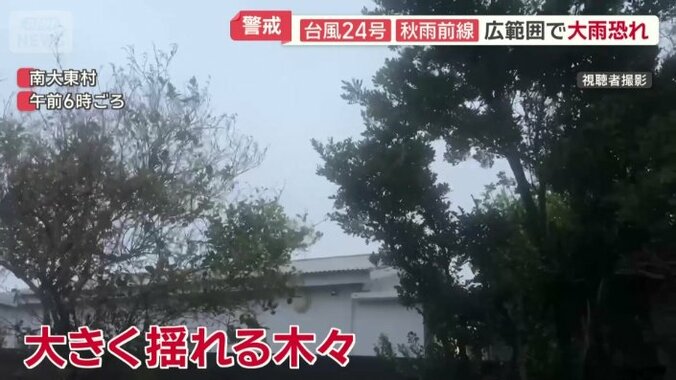 大きく揺れる木々