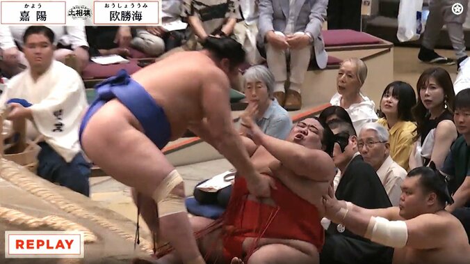 【写真・画像】　1枚目