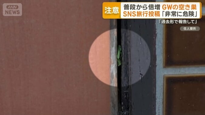 雑草を挟み家の出入りを確認