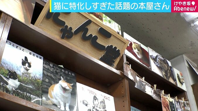 現役ホストが接客、「旅」「猫」に特化　専門書店の書店員がオススメする“読書の秋”3冊 4枚目