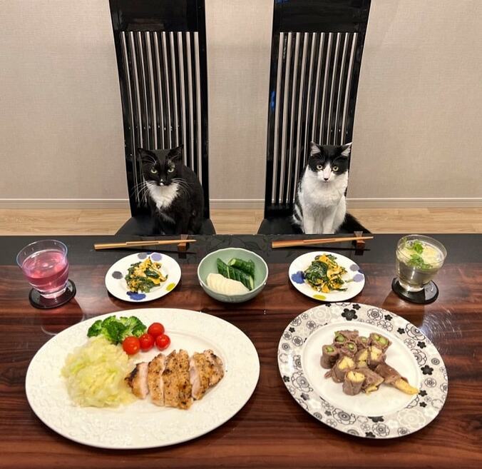藤あや子、自画自賛した美味しすぎる夕食のメニューを公開「あや子メシは最高」  1枚目