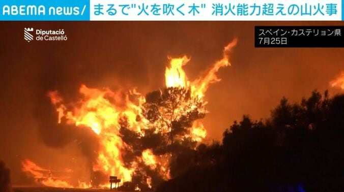 山火事