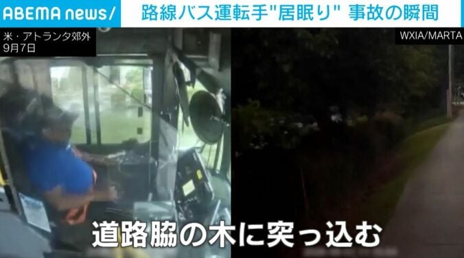 バス運転手／木に衝突するバス