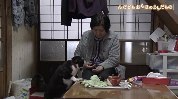 運転手は全員60歳以上の住民有志…“陸の孤島”に暮らす人々を支え続ける公共交通機関