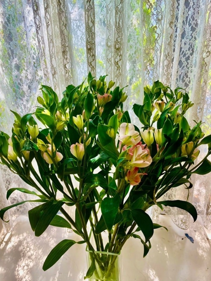  アグネス・チャン、乳がん再発防止のため10年以上守っていること「控えないとね。。。」 