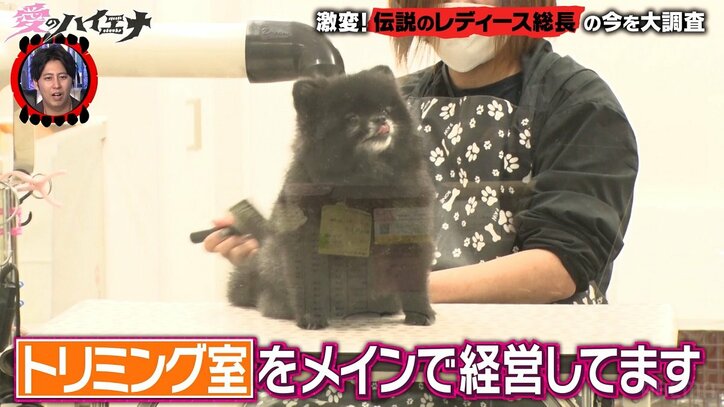 15歳から喧嘩に明け暮れた極悪“女暴走族”の娘、不良への道を断念した母の言葉「無理かなって…」