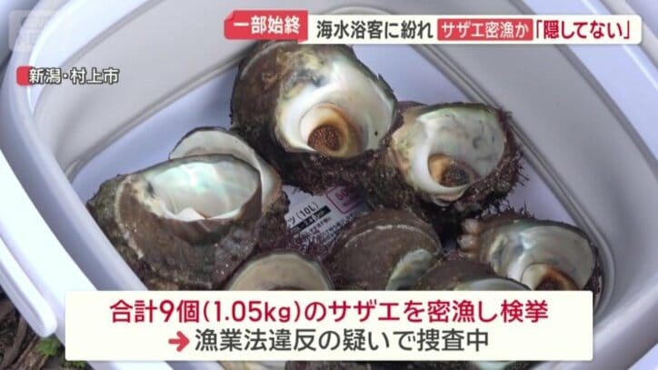 2人は合計9個・およそ1キロのサザエを密漁したとして検挙