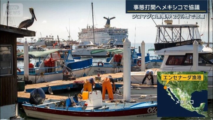エンセナーダ漁港