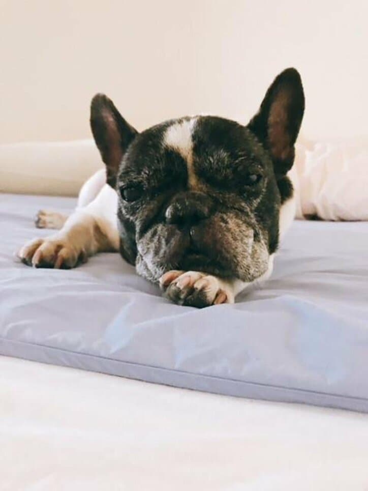 松居直美、更年期が落ち着き準備になっていたなと思うものを明かす