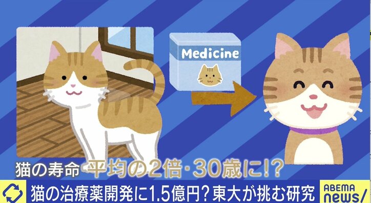 Sns最強コンテンツ 猫 安易な気持ちで飼わないで ご飯やトイレ 病院代 人気の裏に 飼育放棄 の現実も 国内 Abema Times