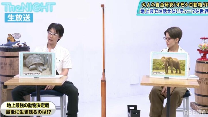 地上の生物が戦ったら生き残るのは？専門家の出した意外な答え