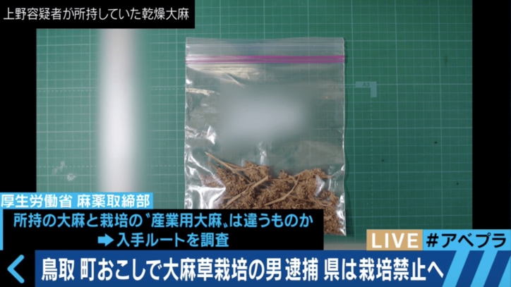 鳥取”大麻で町おこし”キーマンが大麻所持容疑で逮捕　「使い方が間違っている」と農家は憤り