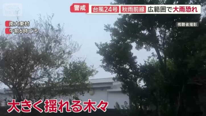 大きく揺れる木々