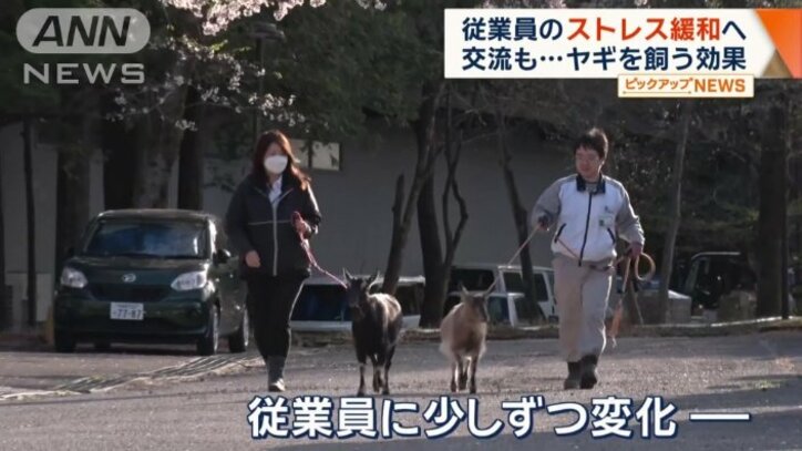 従業員にも少しずつ変化