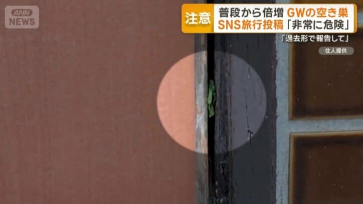 雑草を挟み家の出入りを確認