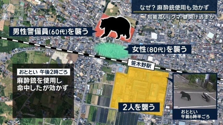 蛇口ひねって水飲んだ？鍵開けて窓スライドさせ逃走か…“賢い”クマの行動なぜ？