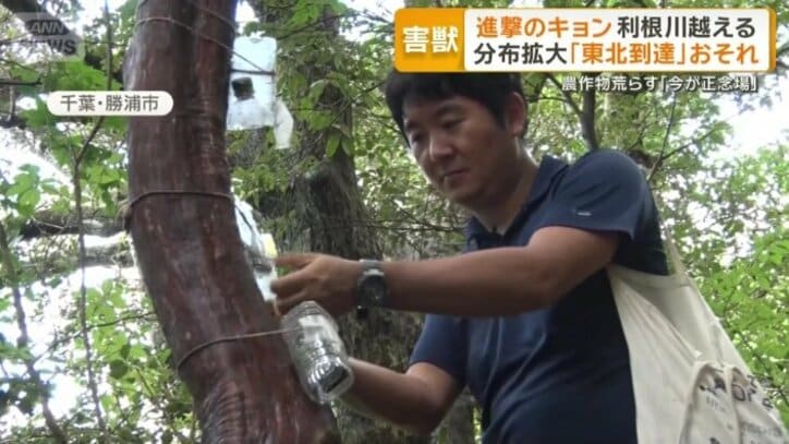 東京農工大学の諸澤崇裕さん