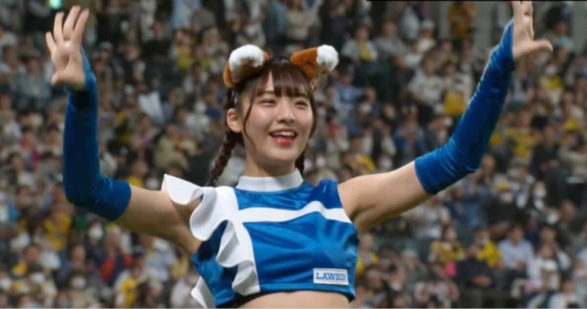 阪神タイガース 2005年優勝記念 チアたぬき 写真・画像】阪神