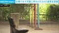 全裸で女子児童に声かけたか 41歳男を逮捕