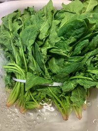 北斗晶『パリッとほうれん草を復活させる。』