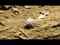 NASAが火星で撮影した写真に謎の物体が映り込んだ？