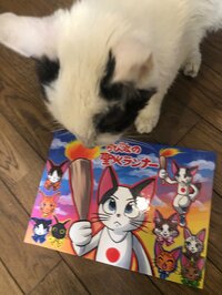 中川翔子『聖火ランナー!』