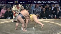 貴景勝の強さを若ノ城が語る